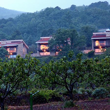 Las Casas De Agapito Poyales Del Hoyo エクステリア 写真